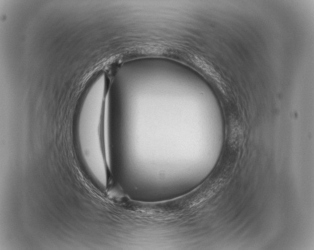 X0000087400681200705111826