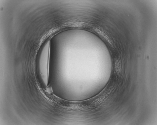 X0000087400682200705111826