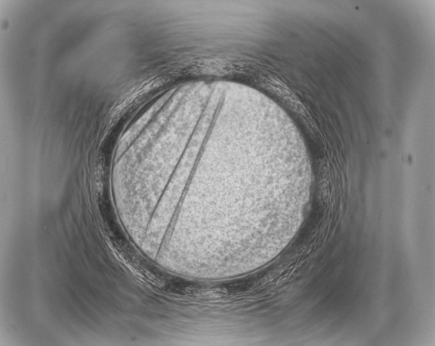 X0000087400683200705111826