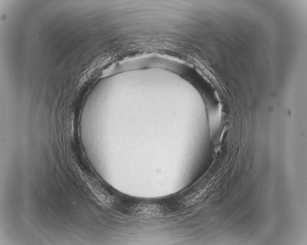 X0000087400685200705111826