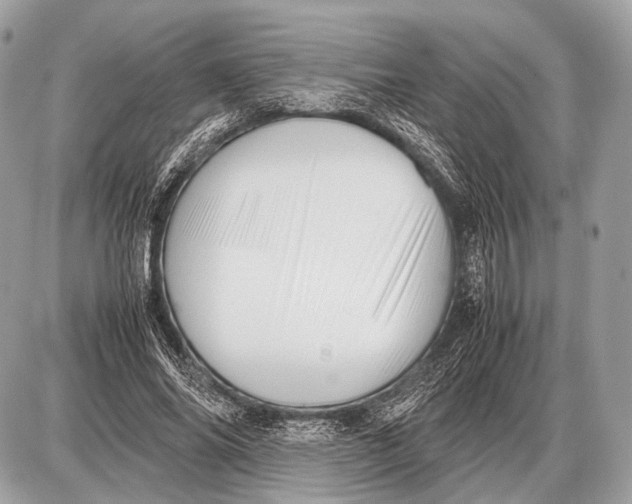 X0000087400686200705111826