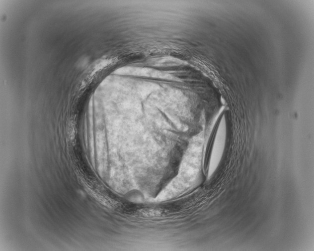 X0000087400687200705111826