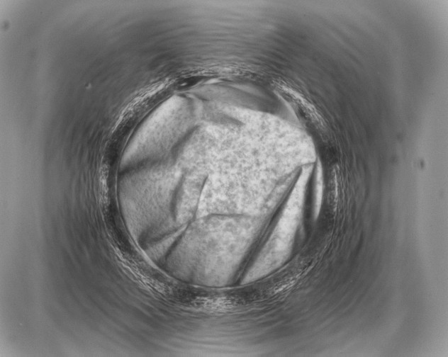 X0000087400688200705111826