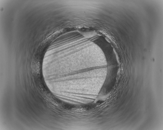 X0000087400689200705111826