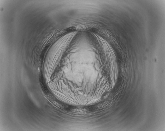 X0000087400691200705111826