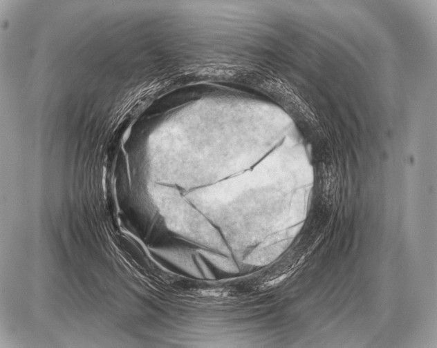 X0000087400692200705111826