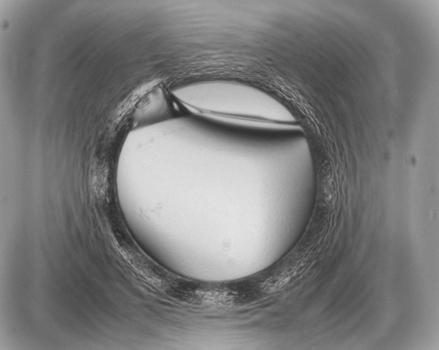 X0000087400693200705111826