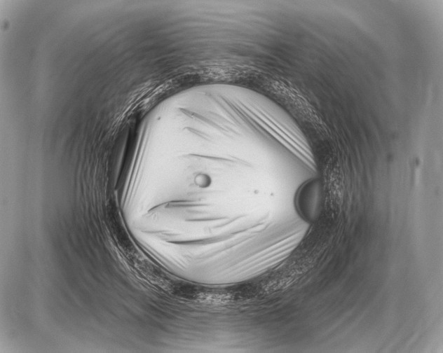 X0000087400694200705111826