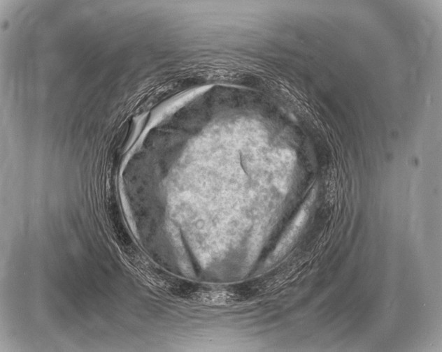 X0000087400695200705111826