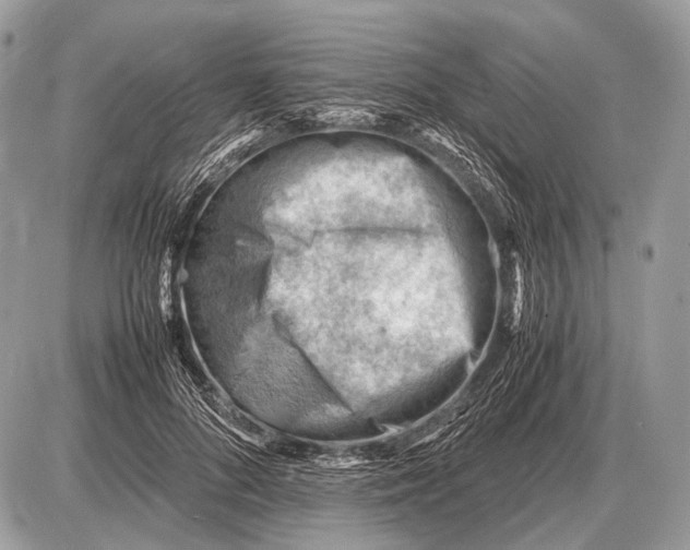 X0000087400696200705111826