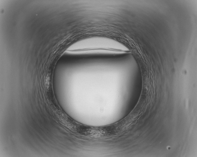 X0000087400697200705111826