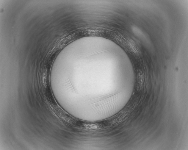 X0000087400698200705111826