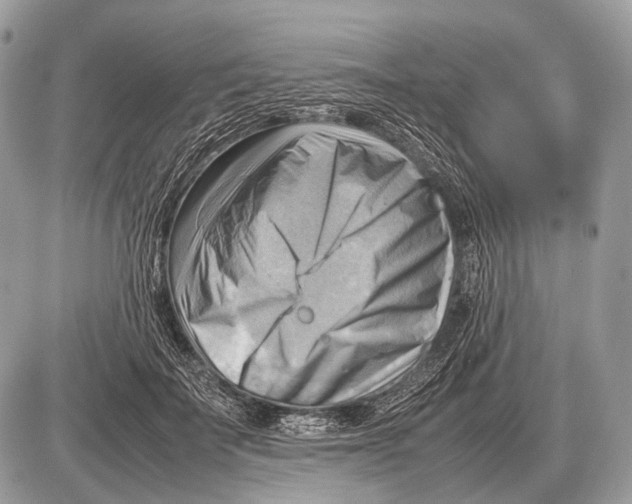 X0000087400699200705111826