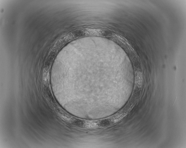 X0000087400701200705111826