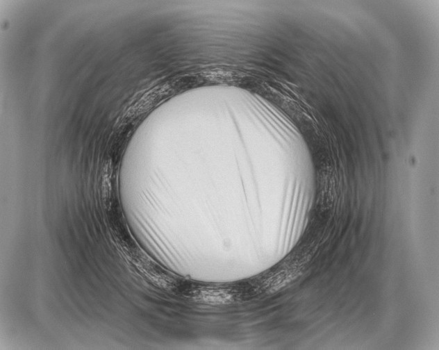 X0000087400702200705111826