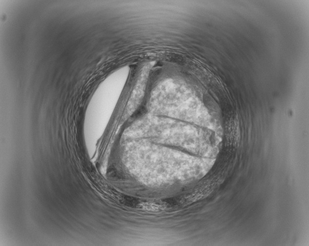 X0000087400703200705111826