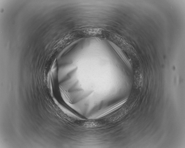 X0000087400704200705111826