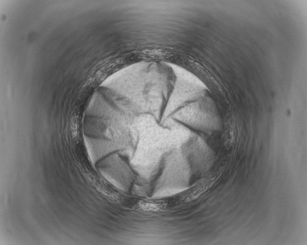 X0000087400706200705111826