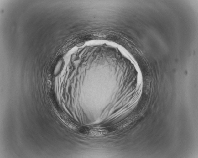 X0000087400707200705111826