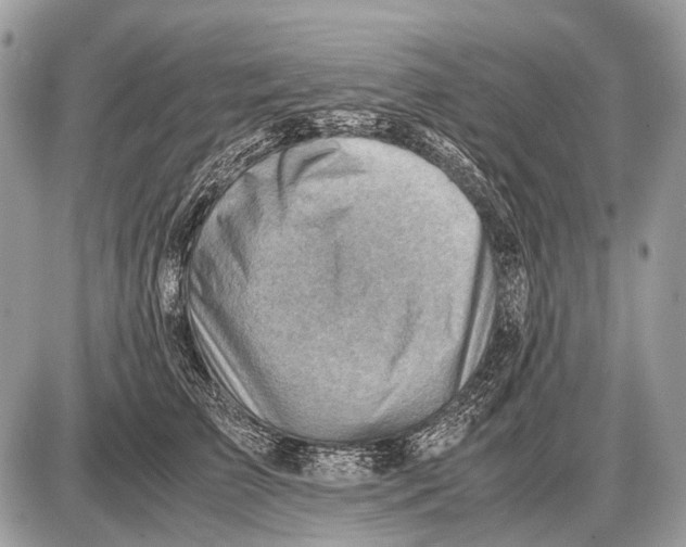 X0000087400709200705111826