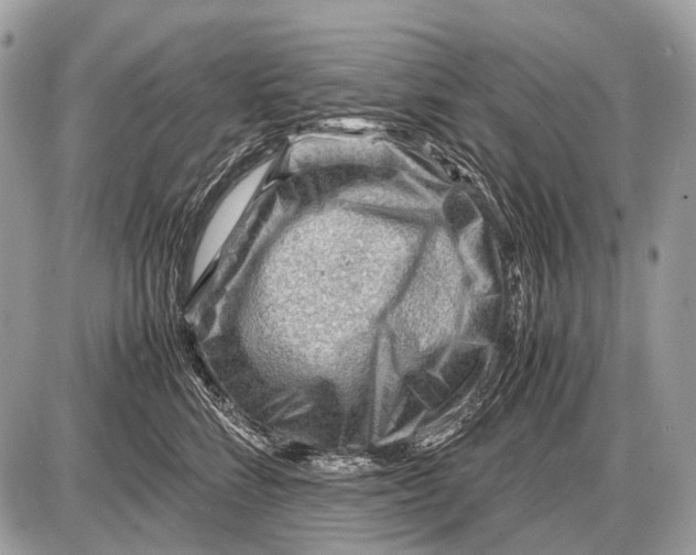 X0000087400712200705111826