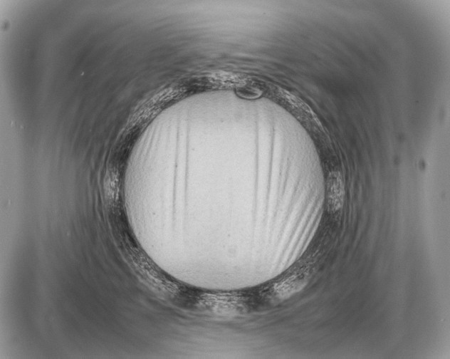 X0000087400713200705111826