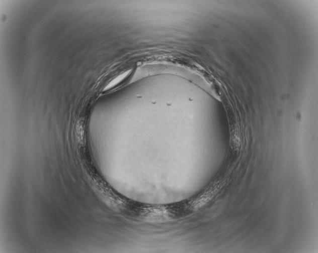 X0000087400715200705111826