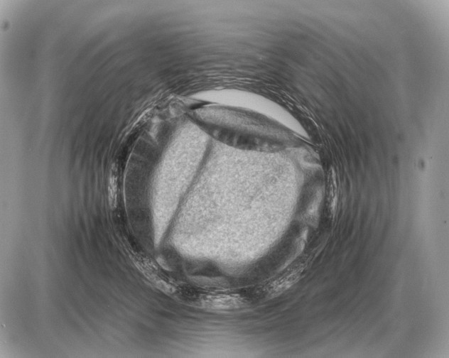 X0000087400716200705111826