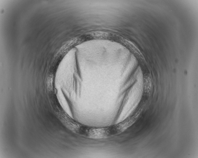 X0000087400717200705111826