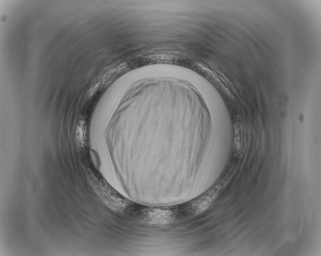 X0000087400718200705111826