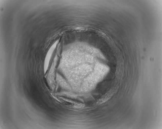 X0000087400720200705111826