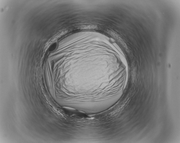 X0000087400721200705111825