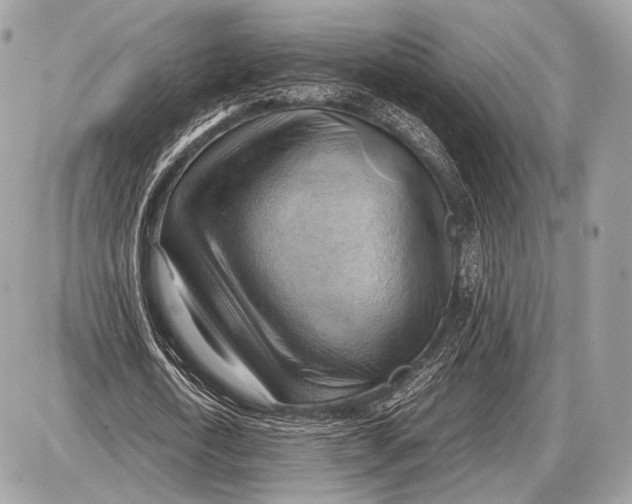 X0000087400722200705111825