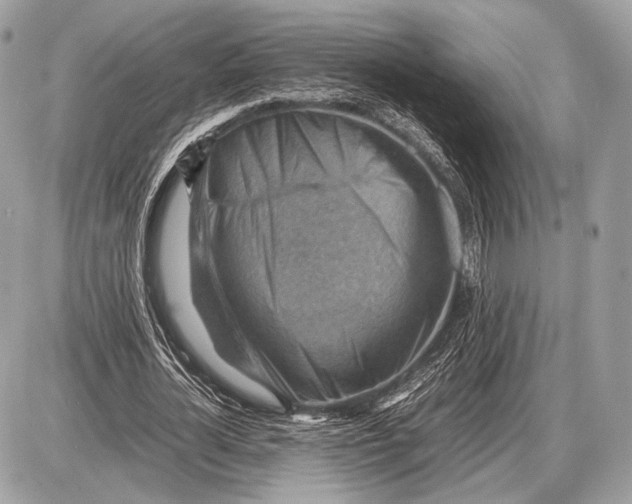 X0000087400724200705111825