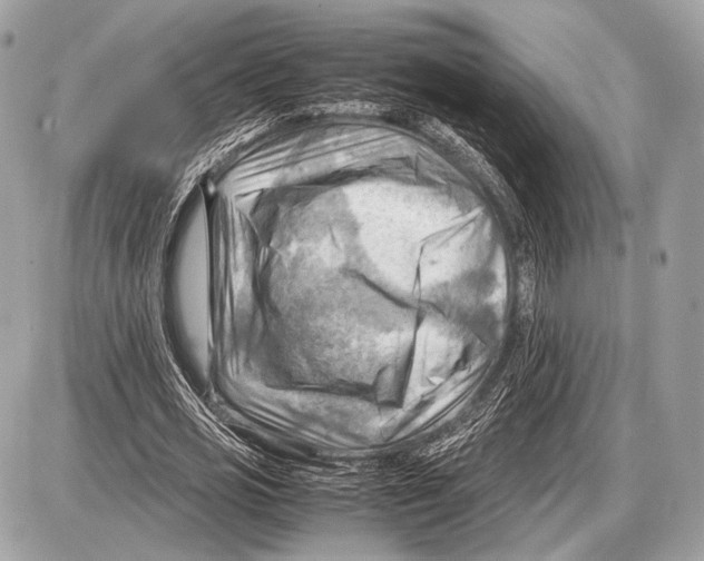 X0000087400725200705111825