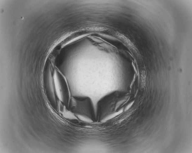 X0000087400726200705111825