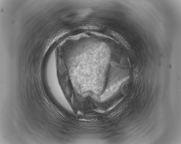 X0000087400727200705111825