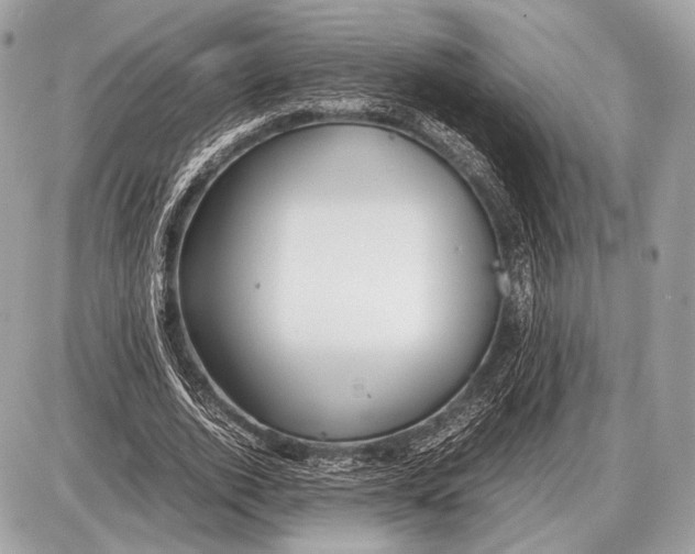 X0000087400728200705111825