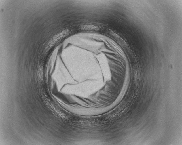 X0000087400729200705111825