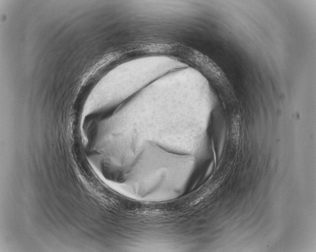 X0000087400730200705111825