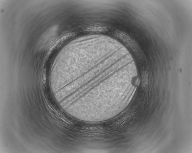 X0000087400731200705111825