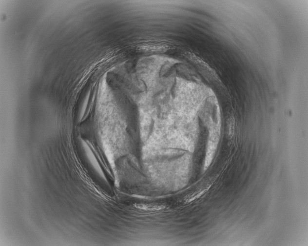 X0000087400733200705111825