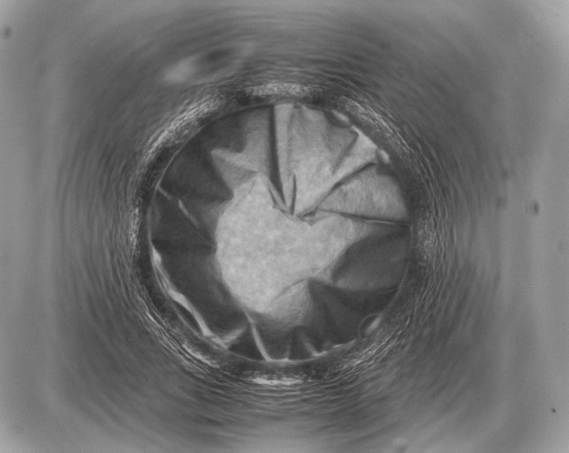 X0000087400735200705111825