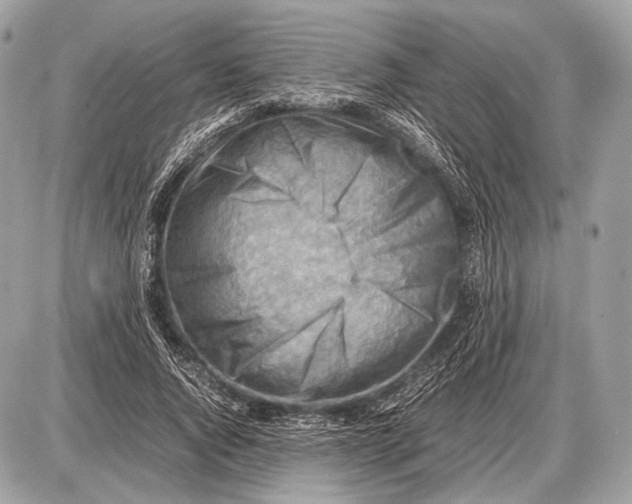 X0000087400736200705111825