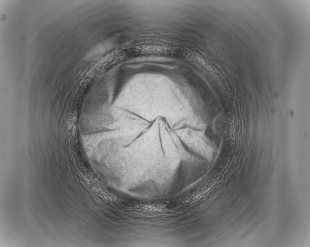 X0000087400737200705111825