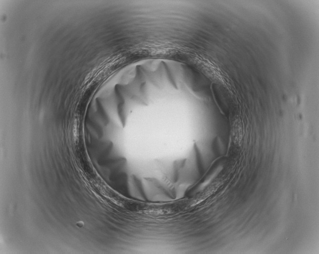 X0000087400740200705111825