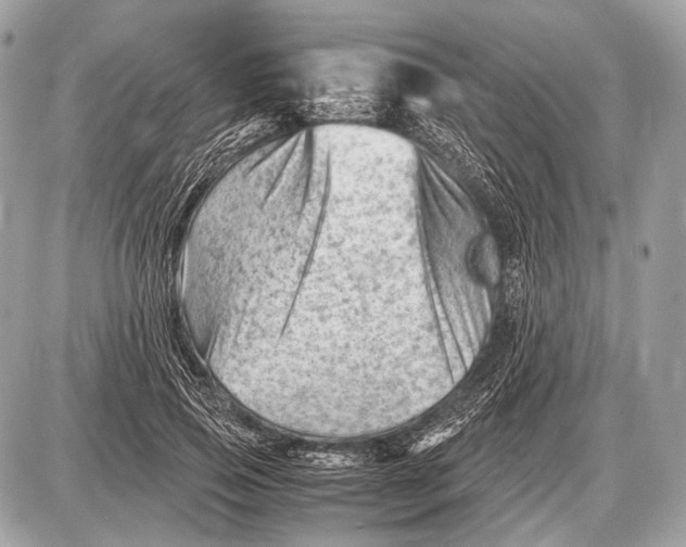 X0000087400741200705111825