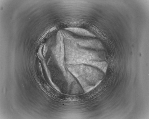 X0000087400742200705111825