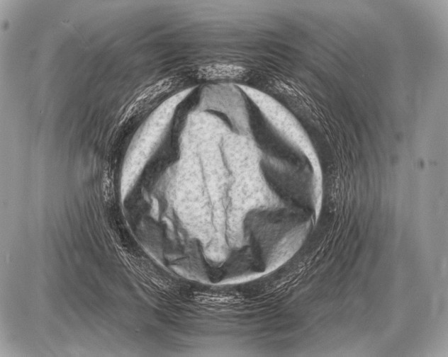 X0000087400743200705111825