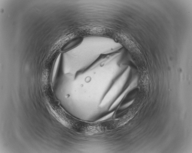 X0000087400744200705111825